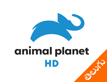 Animal Planet HD Telugu EPG data