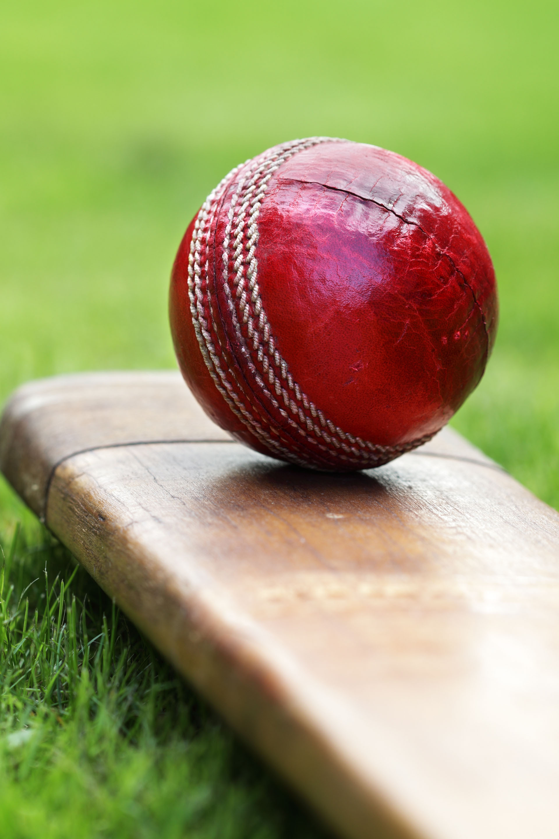 Willow Sports EPG data