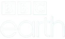 bbcearth.id EPG data