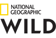 National Geographic Wild EPG data