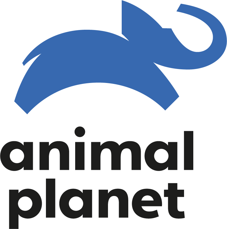 Animal Planet EU EPG data