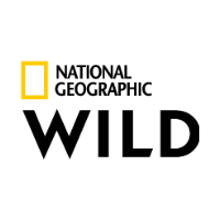 UPDATEz-NGW_Full_Logo_20182 EPG data