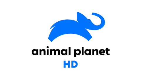 Animal Planet HD (BIH) EPG data