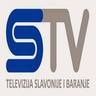 slavonskatv.hr EPG data
