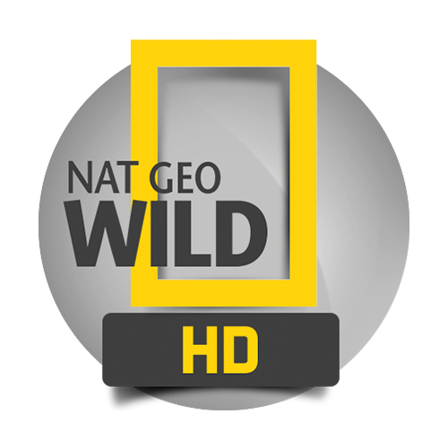 natgeowild.nl EPG data