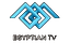 Egyptian TV HD EPG data