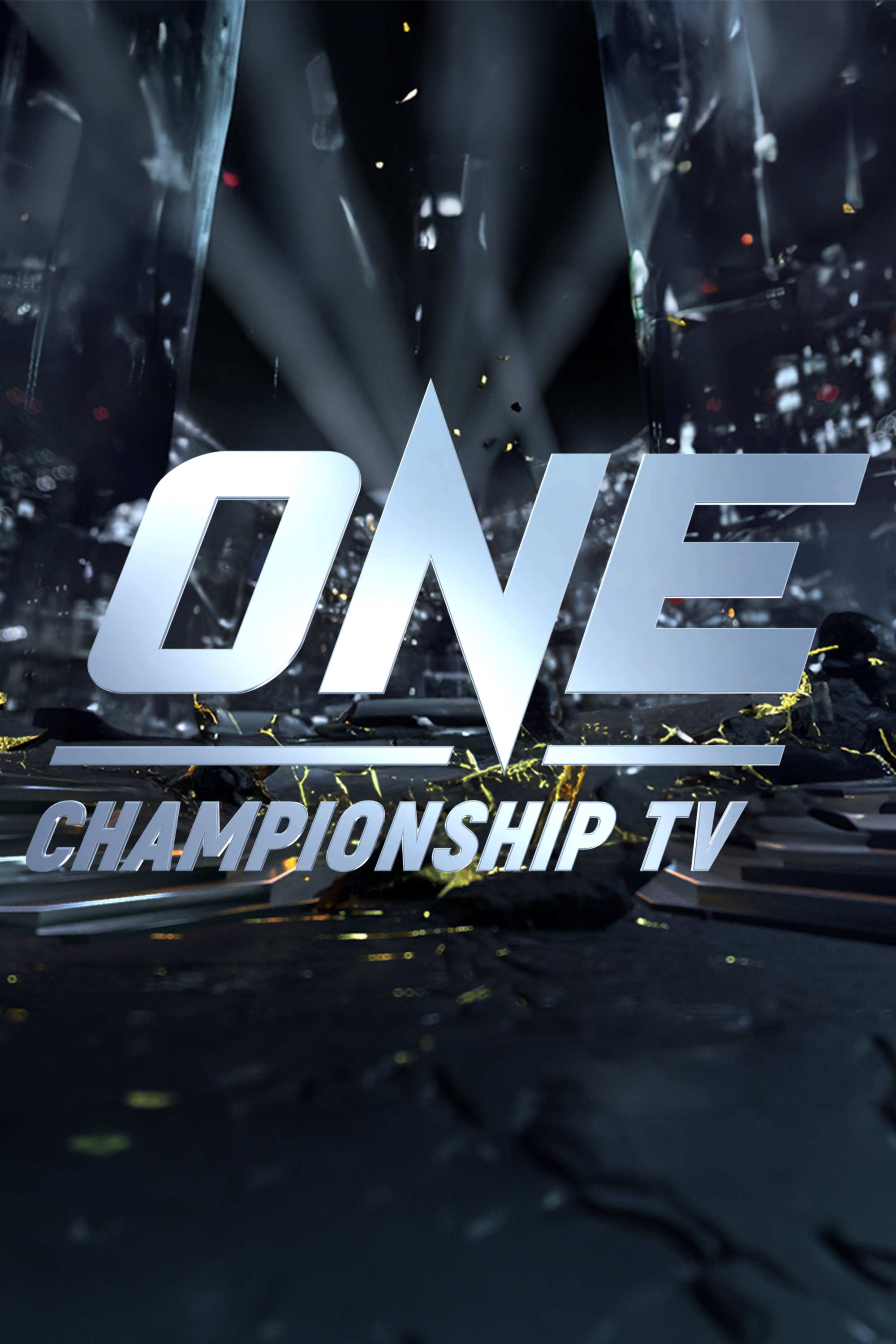 ONE Championship TV EPG data