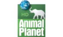 animalplanet.in EPG data