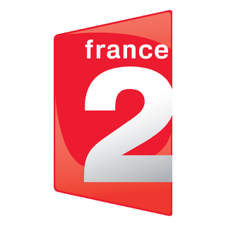 [738] France 2 EPG data
