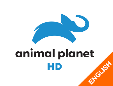 Animal Planet HD World EPG data