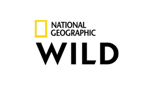 Nat Geo Wild HD (SR) EPG data