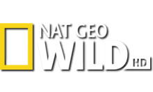 natgeowild.bg EPG data