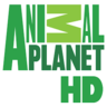 animalplanet.fi EPG data