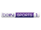 beIN Sports HD EPG data