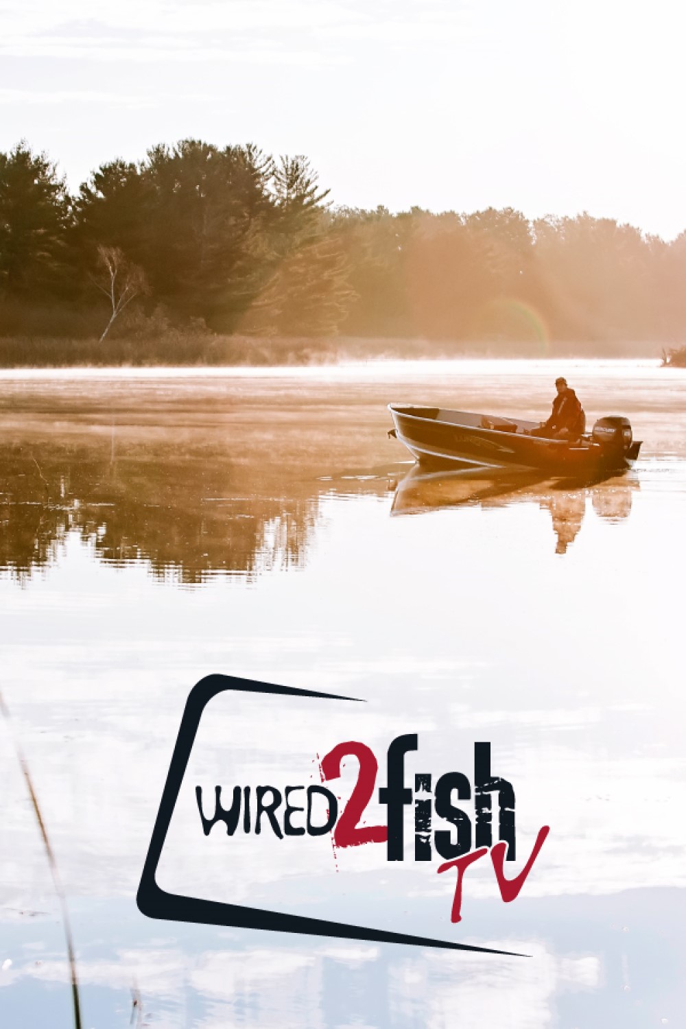 Wired2Fish EPG data