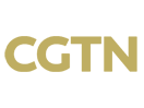 CGTN-E EPG data