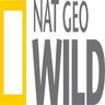 NatGeoWild.qa EPG data