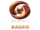 DD Kashir EPG data