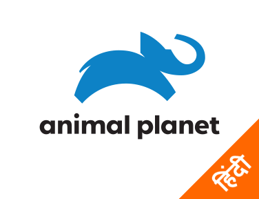 Animal Planet Hindi EPG data