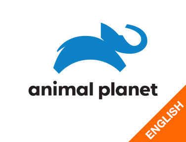 Animal Planet English EPG data