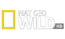 NatGeoWild.de EPG data