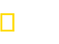 נשיונל ג’יאוגרפיק EPG data