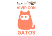 Vivir con gatos EPG data