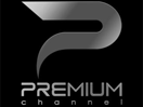 Preview Channel EPG data