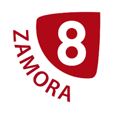 La 8 León EPG data