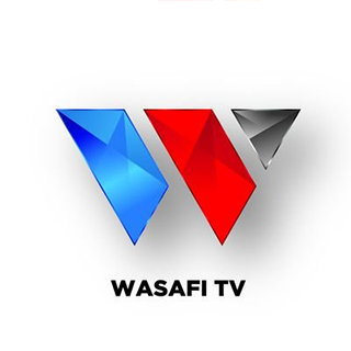 Wasafi TV EPG data