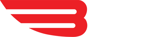 BTV1.HD.pt EPG data
