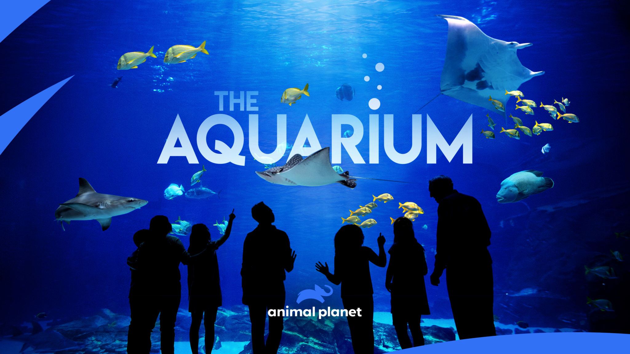 aquariumchannel.ca EPG data