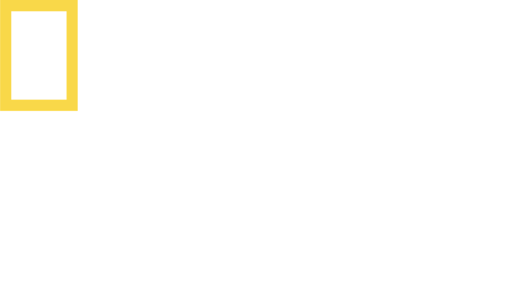 nationalgeographicwild.fi EPG data