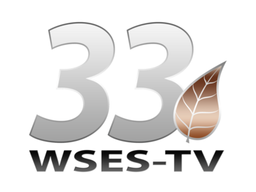 WSES-DT EPG data