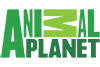 Animal Planet UK EPG data