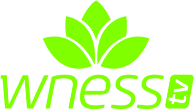 wnesstv.bg EPG data
