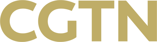 CGTN.pt EPG data