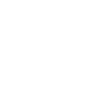 wedotv Cars EPG data