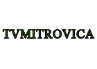 TVMitrovica.al EPG data